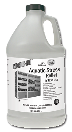 Aquatic Stress Relief Image