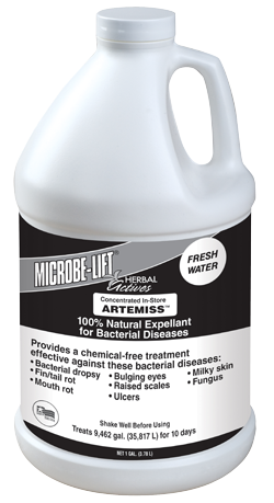 Artemiss (Freshwater) Image