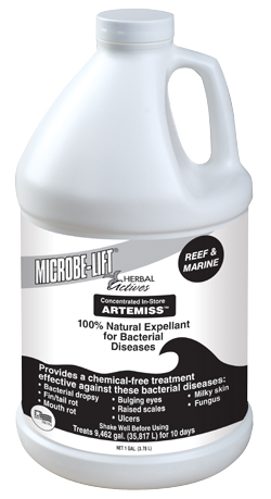 Artemiss (Reef) Image