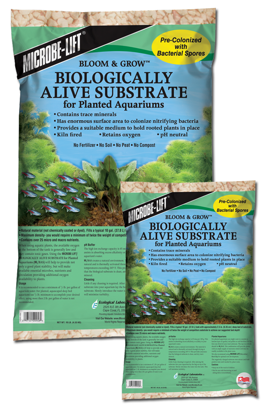 Biologically Alive Substrate Image