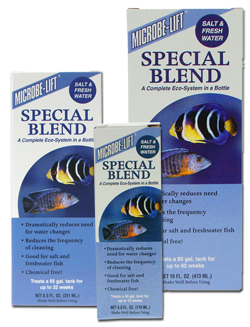Special Blend Image